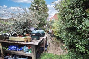 Garden- click for photo gallery